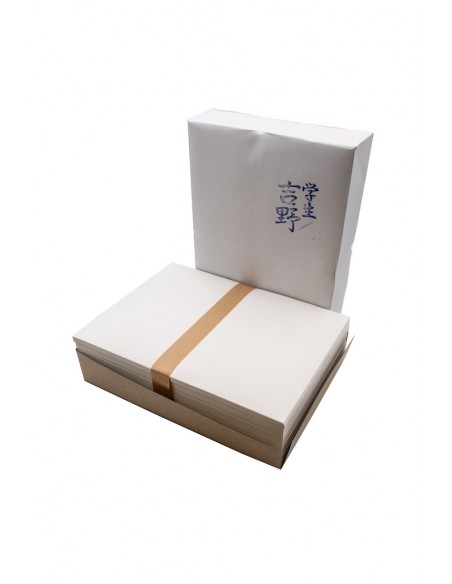 Fogli di Carta Washi per Calligrafia Giapponese - Ideali per Inchiostro Nero | Japan Primavera