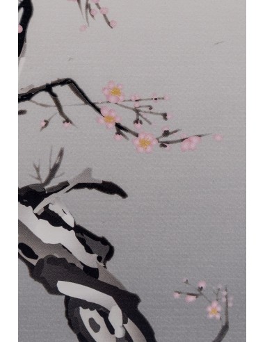 Natural Japanese incense, incense sticks | Japan Primavera