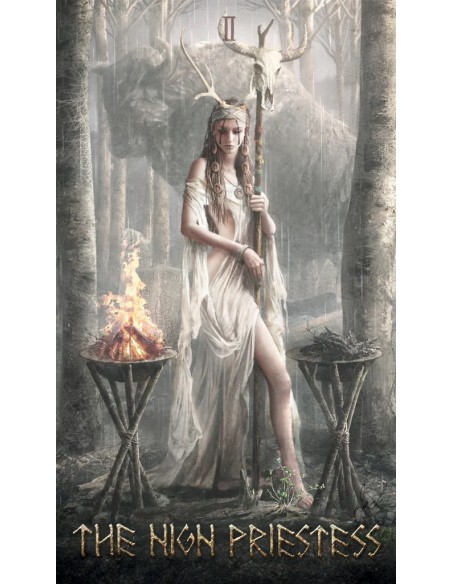Runic Tarot | Japan Primavera