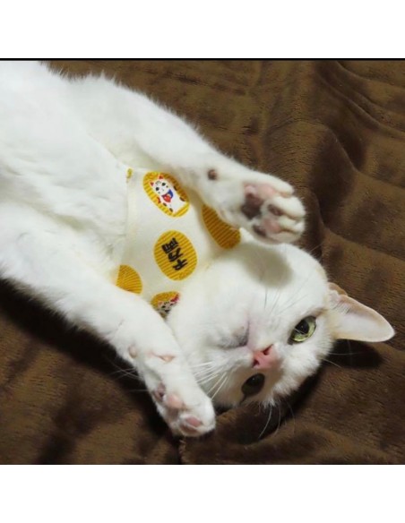 Bandana di Gatto | Japan Primavera