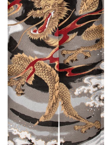 Japanisches Noren Vorhang(の れ ん) - Fünfklauiger goldener Drache | Japan Primavera
