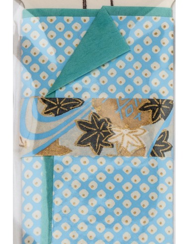 Japanese greeting card - Maikohan | Japan Primavera