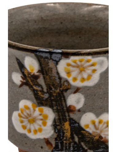 Tazza da Sakè Ume - Fiori di Prugno - Shizen (Naturale) | Japan Primavera